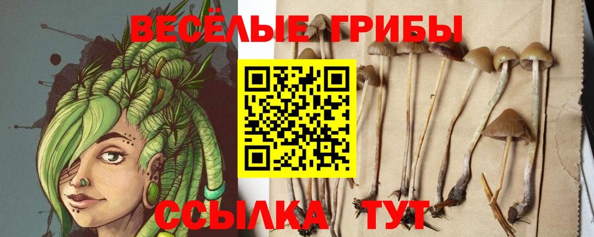 Мирный  Псилоцибиновые грибы Magic Shrooms  Вход с VPN 